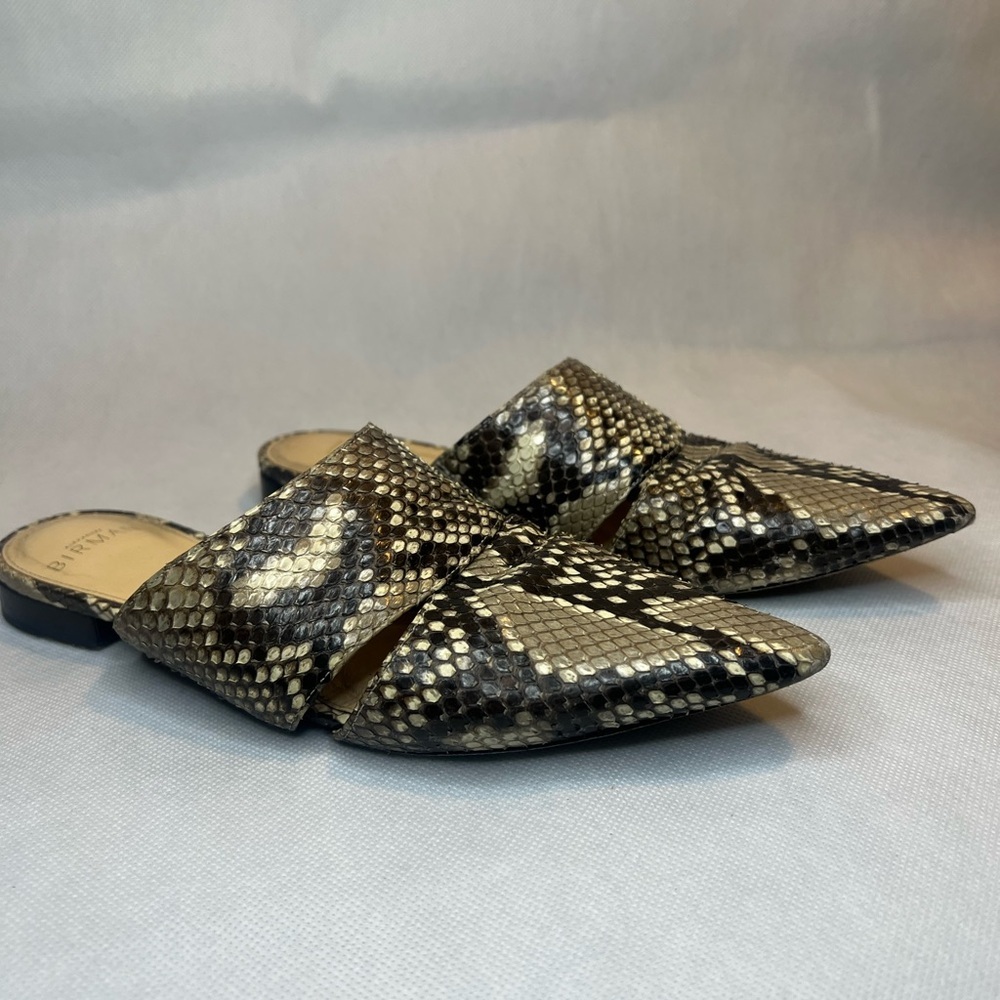 Alexandre Birman Python Snakeskin Pointed Toe Mul… - image 2